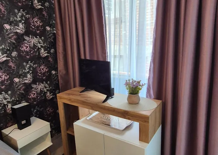 게스트하우스 The White House 네세부르